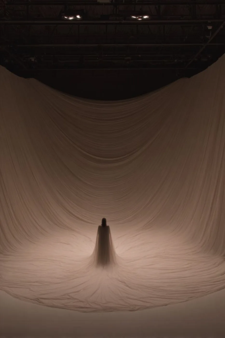 Scale / apparition